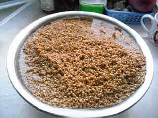 140 Days of Brewing — All-Natural Handmade Wheat Sauce