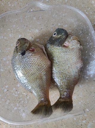 Braised Sunfish